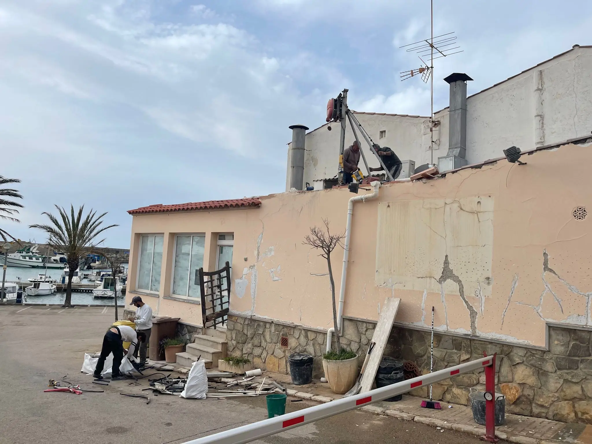 https://allround-mallorca.com/wp-content/uploads/2025/10/87a6c3f6-c8ab-49fb-8f8a-83f46bce44c2.webp